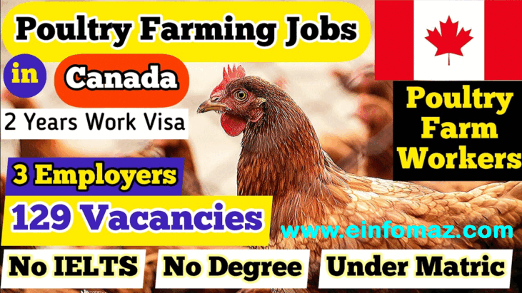 Poultry jobs in Canada